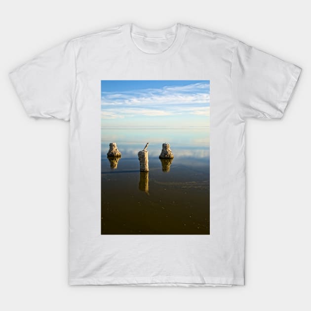 Glass Poles T-Shirt by jswolfphoto